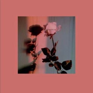 Meet your Posher, Alinne